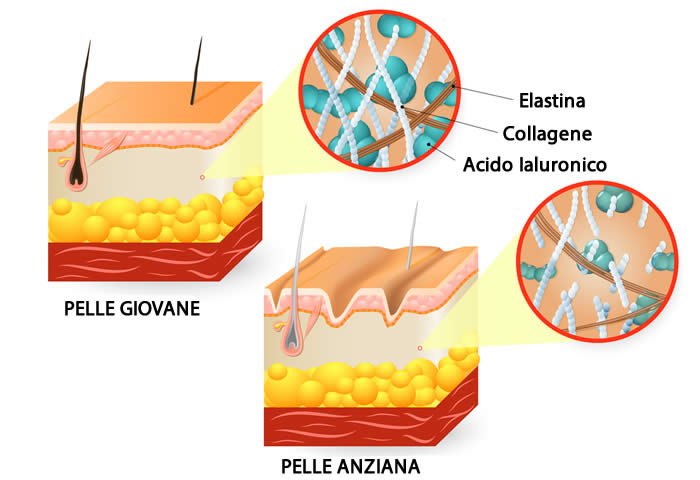 Acido Ialuronico Pelle Giovane e Anziana