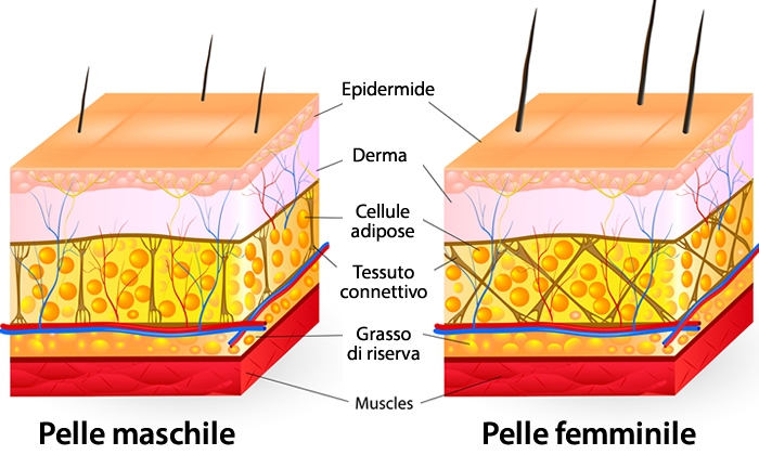 pelle maschile femminile