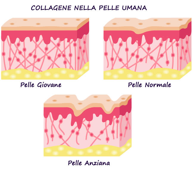 Collagene pelle