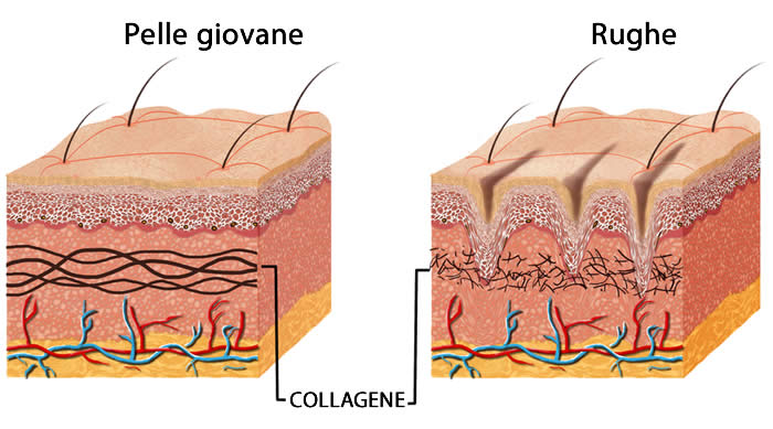 integratori al collagene per la pelle